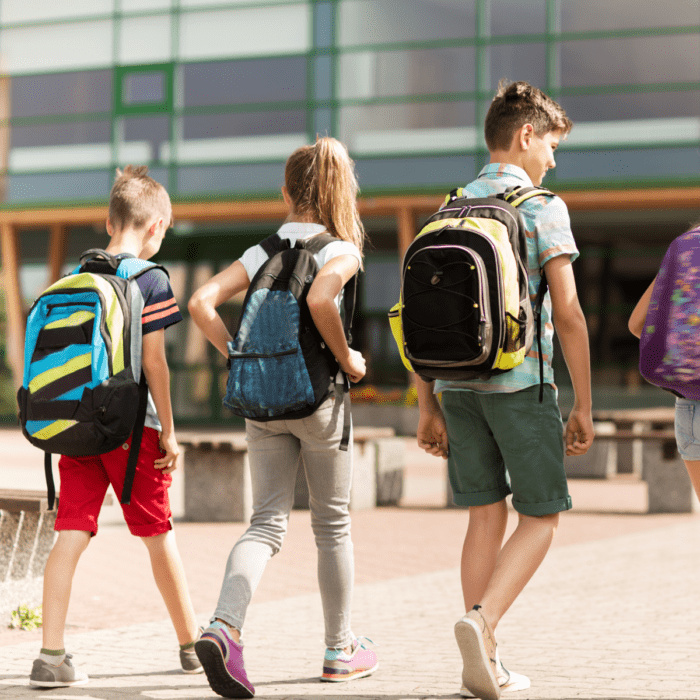 Onze toegangsoplossingen voor scholen | JMD Nederland